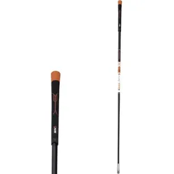 Pure2Improve Swing Speed Trainer Trainingshilfe
