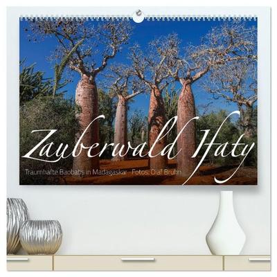 Zauberwald Ifaty · Traumhafte Baobabs in Madagaskar (hochwertiger Premium Wandkalender 2027 DIN A2 quer), Kunstdruck in Hochglanz
