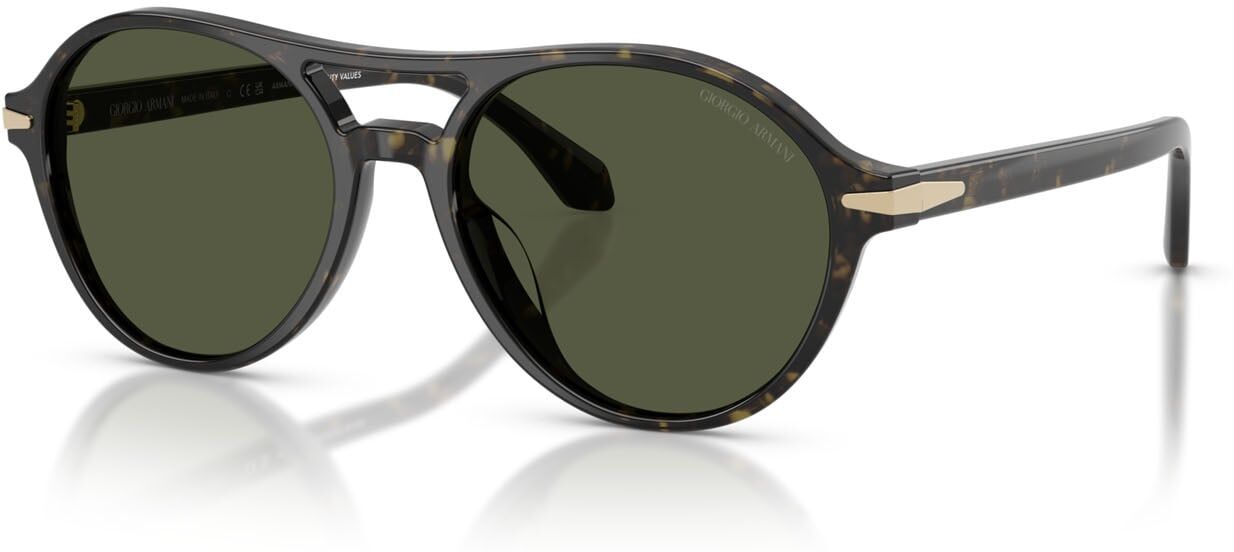Lunettes de soleil Giorgio Armani AR 8236U (623352) Homme