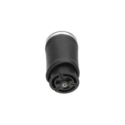 KAVO PARTS Luftfeder, Fahrwerk sas10036 Hinterachse rechts für BMW