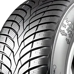 WinterDrive 195/55 R15 89H  Winterreifen
