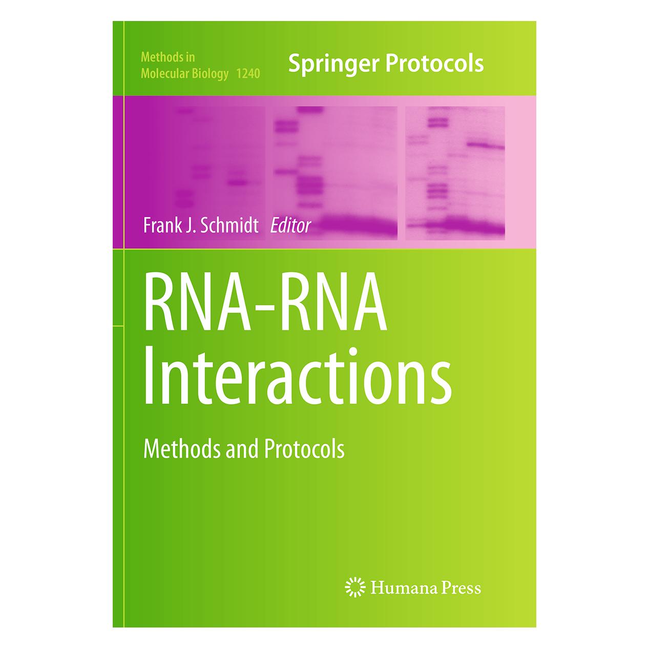 Springer RNA-RNA Interactions (Englisch, Softcover, Frank J. Schmidt) (55834839)