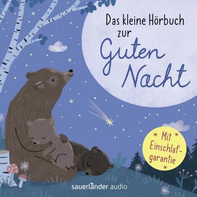 Das kleine Hörbuch zur Guten Nacht - Gina Ruck-Pauquèt,Fredrik Vahle,Stijn Moekaars,Mascha Kaleko,Theodor Storm, Audio, 9783732444090