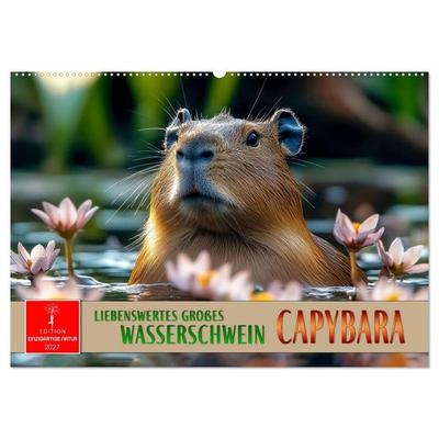 Capybara - liebenswertes großes Wasserschwein (Wandkalender 2027 DIN A2 quer), CALVENDO Monatskalender