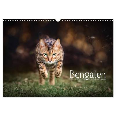Bengalen Outdoor und Action (Wandkalender 2027 DIN A3 quer), CALVENDO Monatskalender