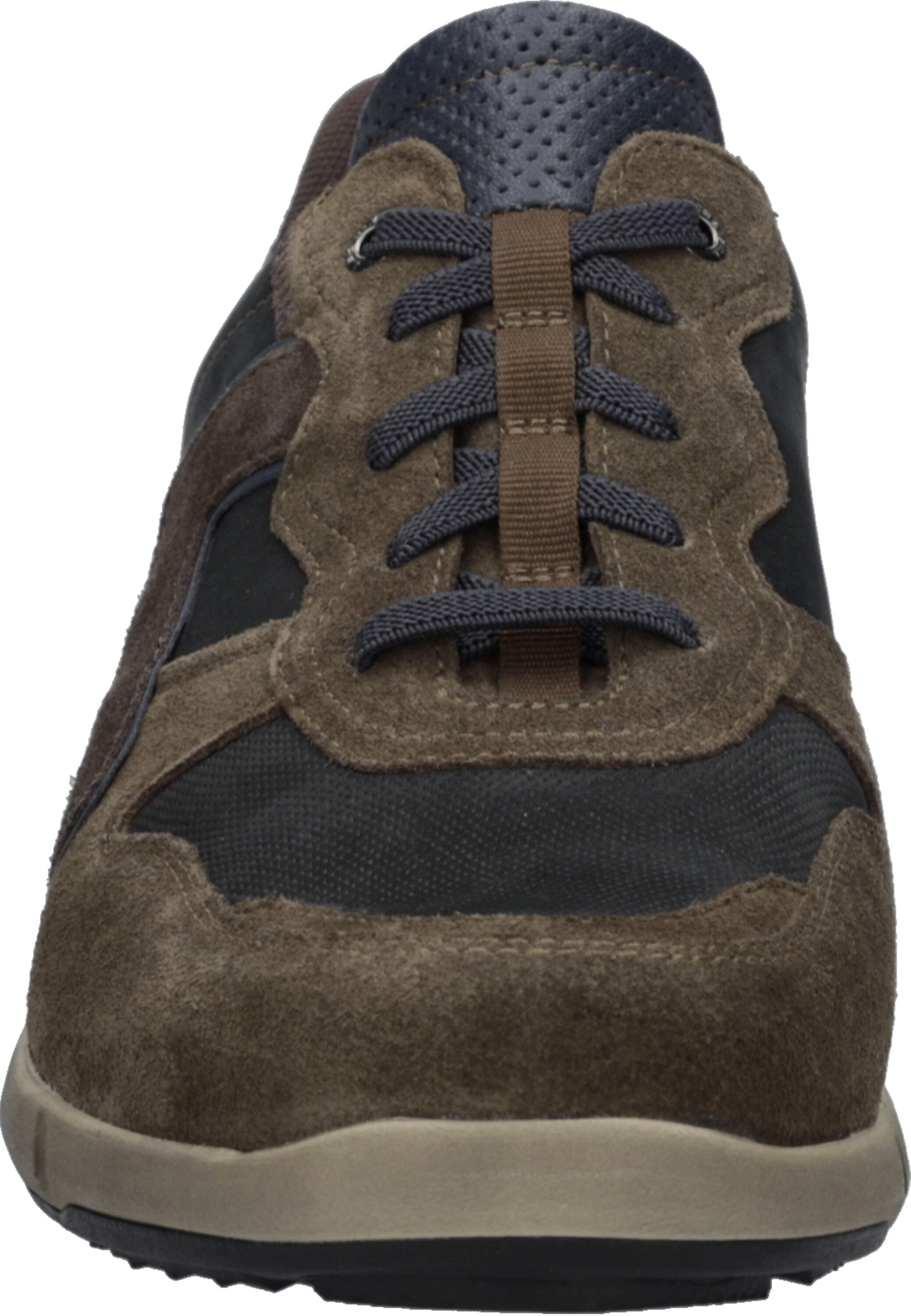 Sneaker JOSEF SEIBEL "Enrico 34, espresso-multi", Herren, Gr. 41, braun (espresso, multi), Schuhe Sneaker