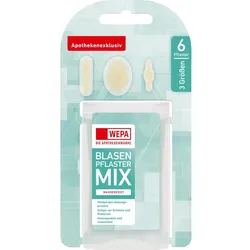 Wepa Blasenpflaster Mix 3 Größen 6 ST