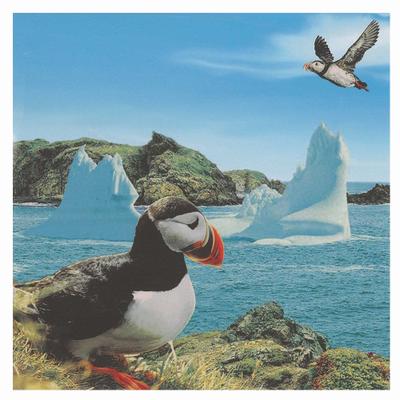 IH Casa Decor 20 Pack Luncheon 3 Ply Napkin Puffin - Set of 6