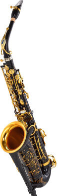 Selmer Supreme Alto Sax SE-ASUB