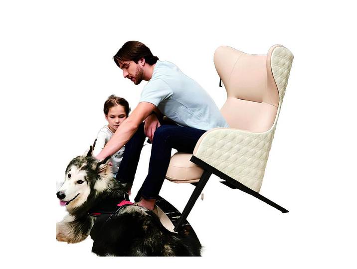 Xlmoebel Sessel Beiger Leder-Loungesessel mit modernem Design und hoher Polsterung (Sessel), Hergestellt in Europa