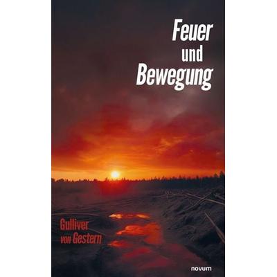 Feuer und Bewegung, Taschenbuch von Gulliver Gestern, Novum Verlag, 978-3-7116-1418-6