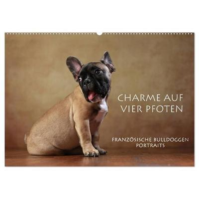 Charme auf vier Pfoten - Französische Bulldoggen Portraits (Wandkalender 2027 DIN A2 quer), CALVENDO Monatskalender
