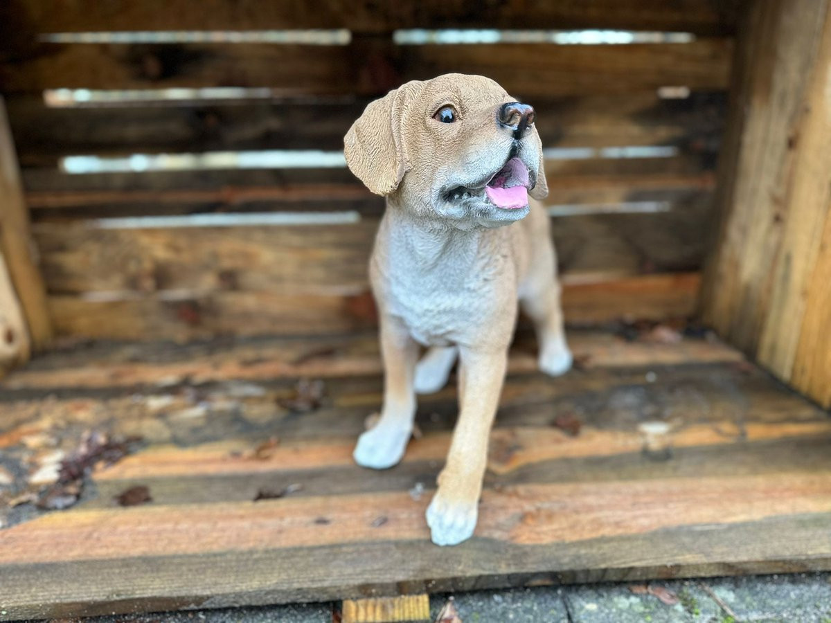 Goodyz Labrador Hondenbeeld Hoogte: 45 cm