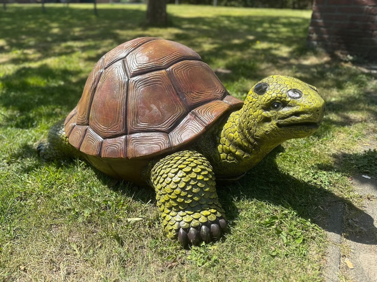 Goodyz Reuze Schildpad natuurlijke kleur 130 cm lang