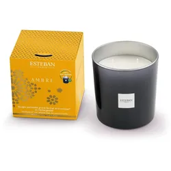 Ambre Duftkerze 450g