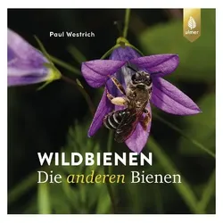 Westrich:Wildbienen die anderen Bienen, Ratgeber von Paul Westrich