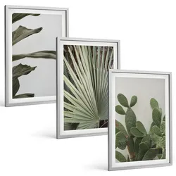 BILDER SET 3er Set - 40x60 cm Silberner Rahmen - Blätter tropischer Pflanzen in Pastellfarben