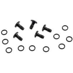 Campagnolo Befestigungsschraube schwarz