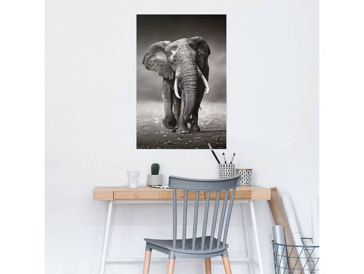 Poster Elefant Papier Schwarz 61 x 92 x 0cm