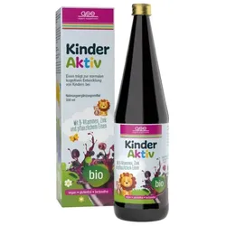 GSE Kinder Aktiv Complex bio 330ml