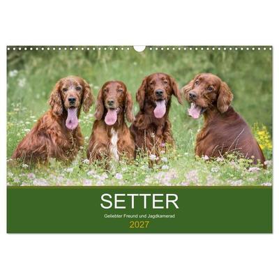 Setter - Geliebter Freund und Jagdkamerad (Wandkalender 2027 DIN A3 quer), CALVENDO Monatskalender