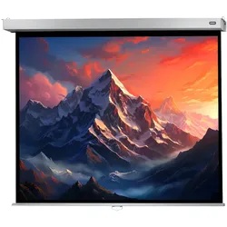 celexon Leinwand Rollo Professional Plus 160 x 120 cm Format 4:3