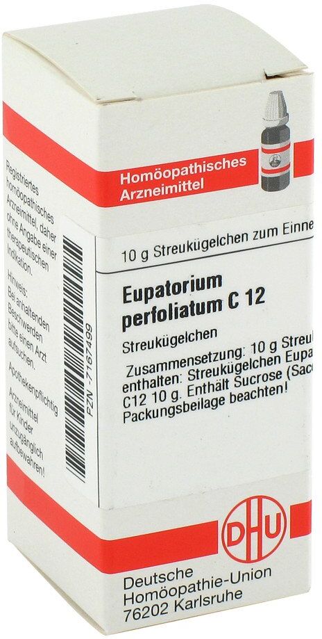 DHU Eupatorium Perfoliatum C12 Globuli 10g