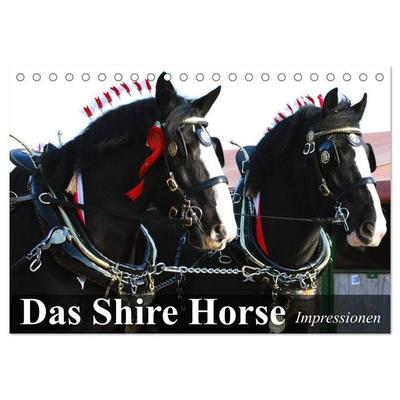 Das Shire Horse. Impressionen (Tischkalender 2027 DIN A5 quer), CALVENDO Monatskalender