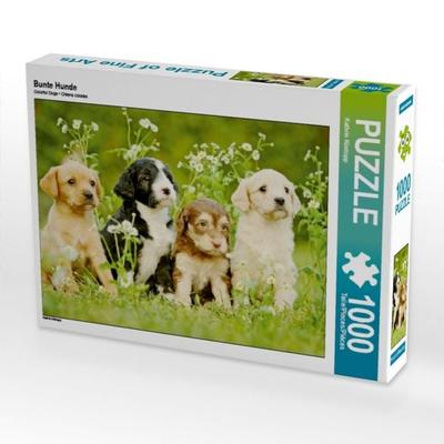 CALVENDO Puzzle Bunte Hunde 1000 Teile Puzzle quer | 1000 Teile Lege-Größe 64 × 48 cm Foto-Puzzle für glückliche Stunden