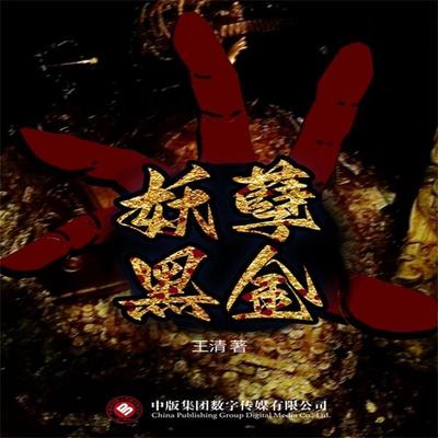 妖孽黑金 - 王清, Audio, 4071498601150