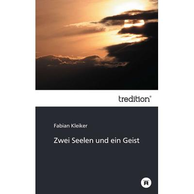 Zwei Seelen und ein Geist, Taschenbuch von Fabian Kleiker, Tredition, 978-3-8495-7144-3