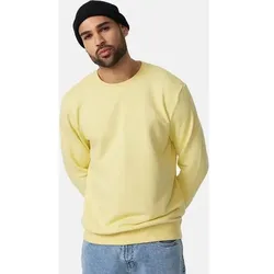 INDICODE Sweatshirt Holt, Größe M in Grau Grau
