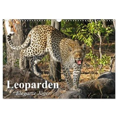 Leoparden. Elegante Jäger (Wandkalender 2027 DIN A3 quer), CALVENDO Monatskalender
