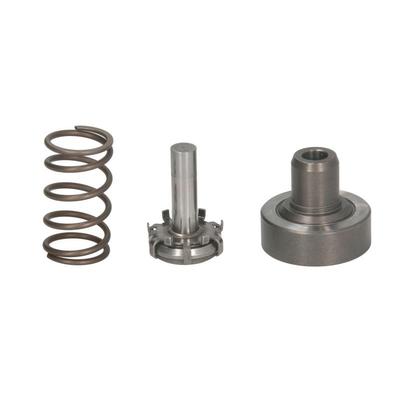 BOSCH Reparatursatz, Kraftstoffpumpe F 01M 101 349