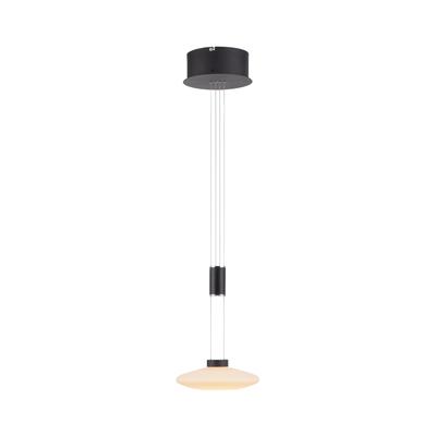 PAUL NEUHAUS Pendelleuchte "LAUTADA", schwarz, 1, Ø 23cm, 1 Stk., Leuchten, LED, dimmbar, Simply Dim, Memory, nach Trennung vom Netz, Pendelleuchte