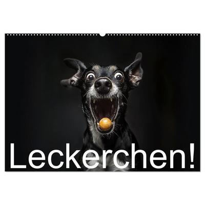 Leckerchen! (Wandkalender 2026 DIN A2 quer), CALVENDO Monatskalender