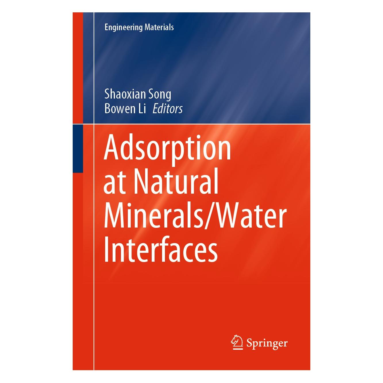 Springer Adsorption at Natural Minerals/Water In (9783030544508)