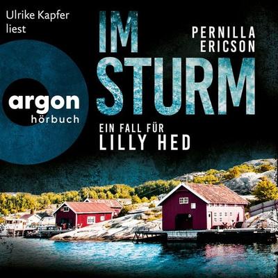 Im Sturm - Pernilla Ericson, Audio, 9783732409587