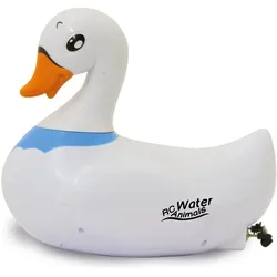 Jamara Schwan
