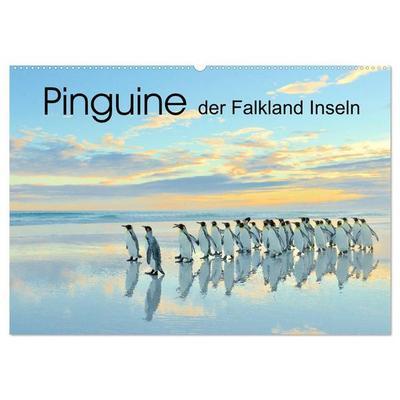 Pinguine der Falkland Inseln (Wandkalender 2027 DIN A2 quer), CALVENDO Monatskalender