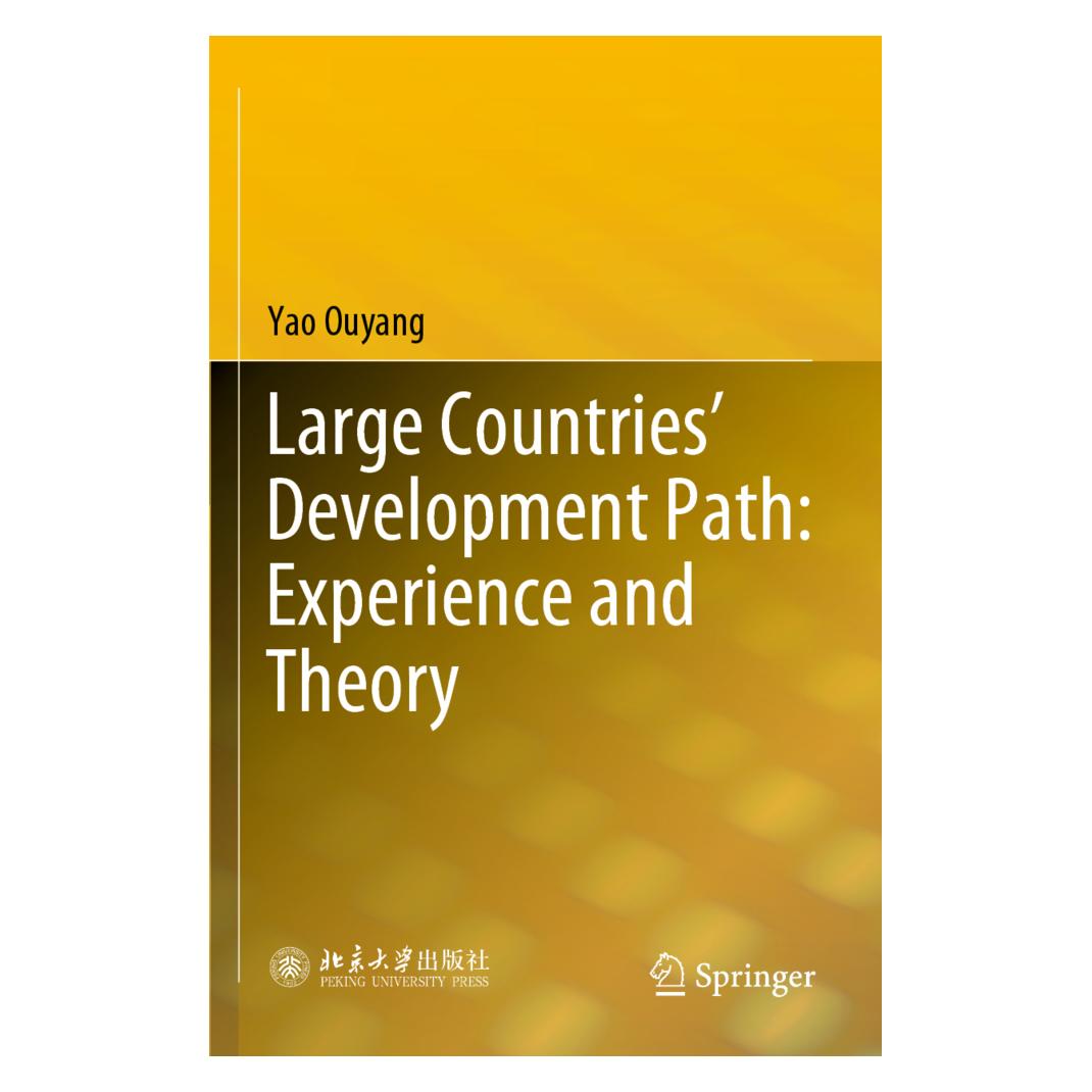 Springer Large Countries' Development Path: Experience and Theory (Englisch, Softcover, Yao Ouyang) (56935892)
