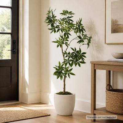 Porch & Den "Everleaf 84"" Artificial Money Tree in Black Nursery Pot - Indoor Realistic Tropical Pachira Aquatica Plant"