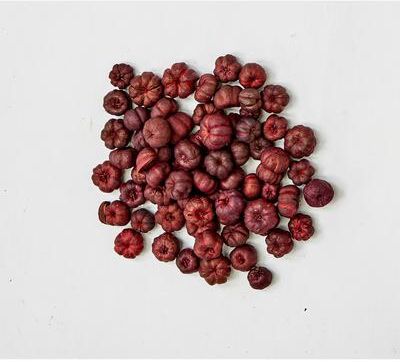 Worth Imports Natural Miniature Burgundy Pumpkin Pods, 3/4 in, Box of 2LBS, 1LB equals to 16 cups