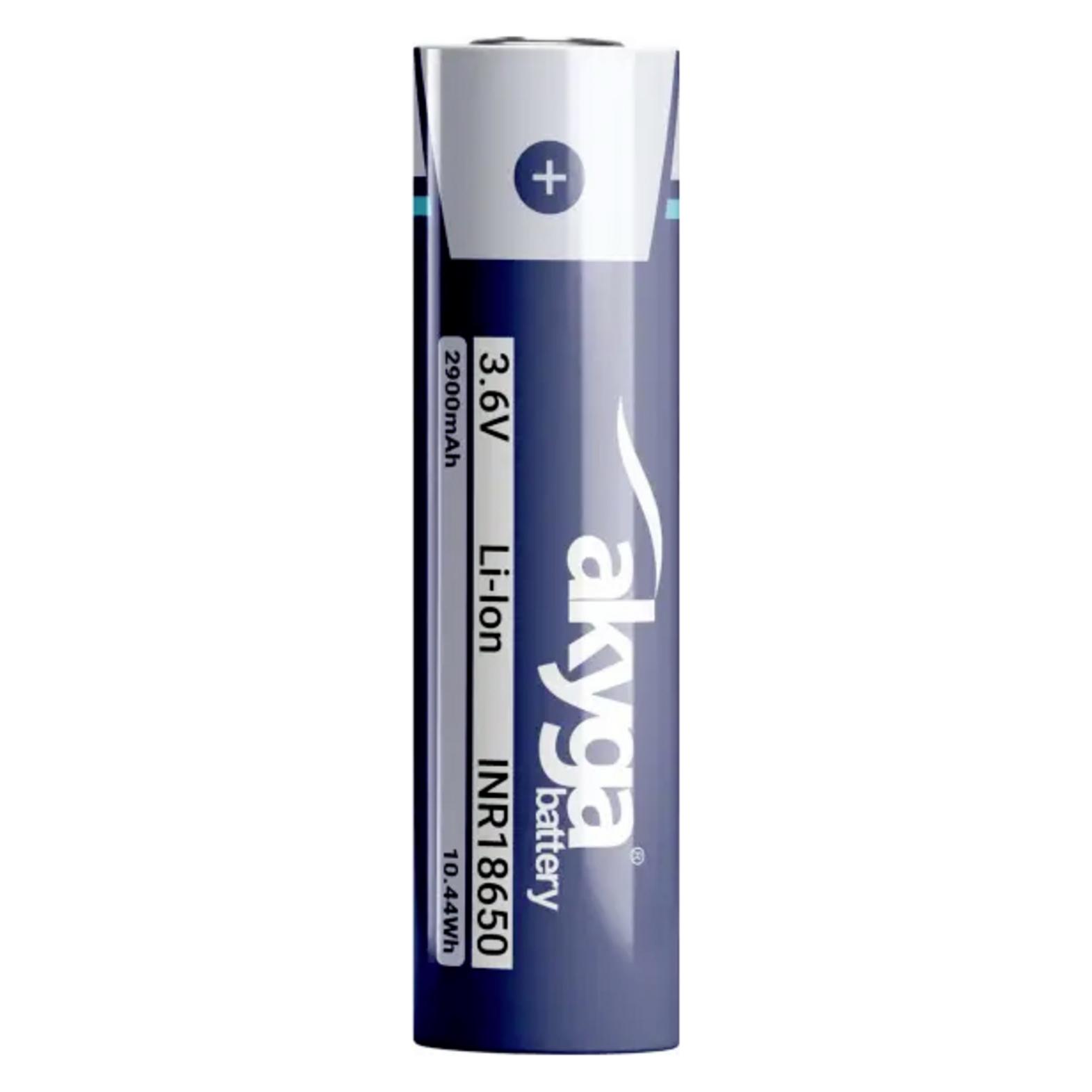 Akyga Spezial-Akku Li-Ion 3.6 V 2900 mAh 1 St. (1 Stk., 2900 mAh) (AKY2173)