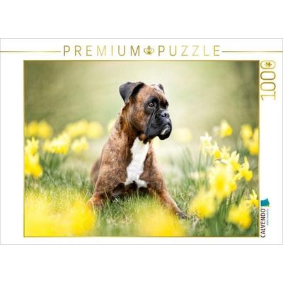CALVENDO Puzzle Boxer im Blütenrausch | 1000 Teile Lege-Größe 64x48cm Foto-Puzzle für glückliche Stunden, Sonstige von , Calvendo Puzzle
