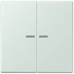 Jung Wippe mit Lichtleiter LC 102 KO5 215