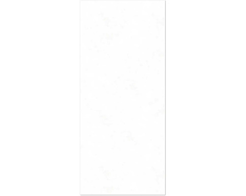 BREUER Duschrückwand Express Q72 Seidenmatt Stein 255 x 150 cm 1413542000204