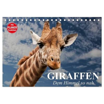 Giraffen. Dem Himmel so nah (Tischkalender 2027 DIN A5 quer), CALVENDO Monatskalender