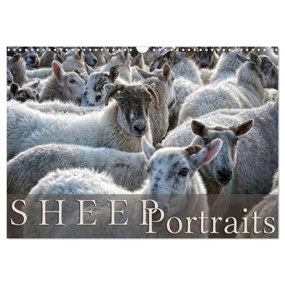 Sheep Portraits (Wall Calendar 2027 DIN A3 landscape), CALVENDO 12 Month Wall Calendar