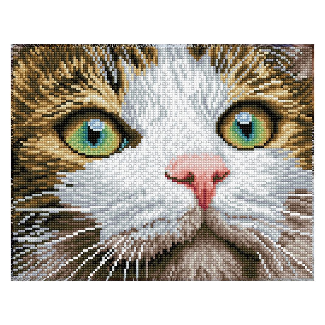 Diamond Dotz Green Eyed Beauty (DDK6.029)